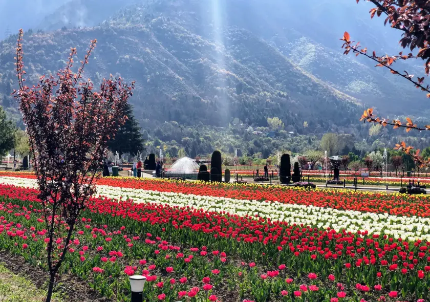 Valley of Flowers Trek